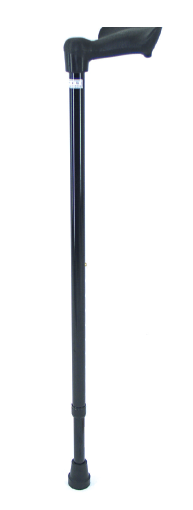 Walking Stick Fischer